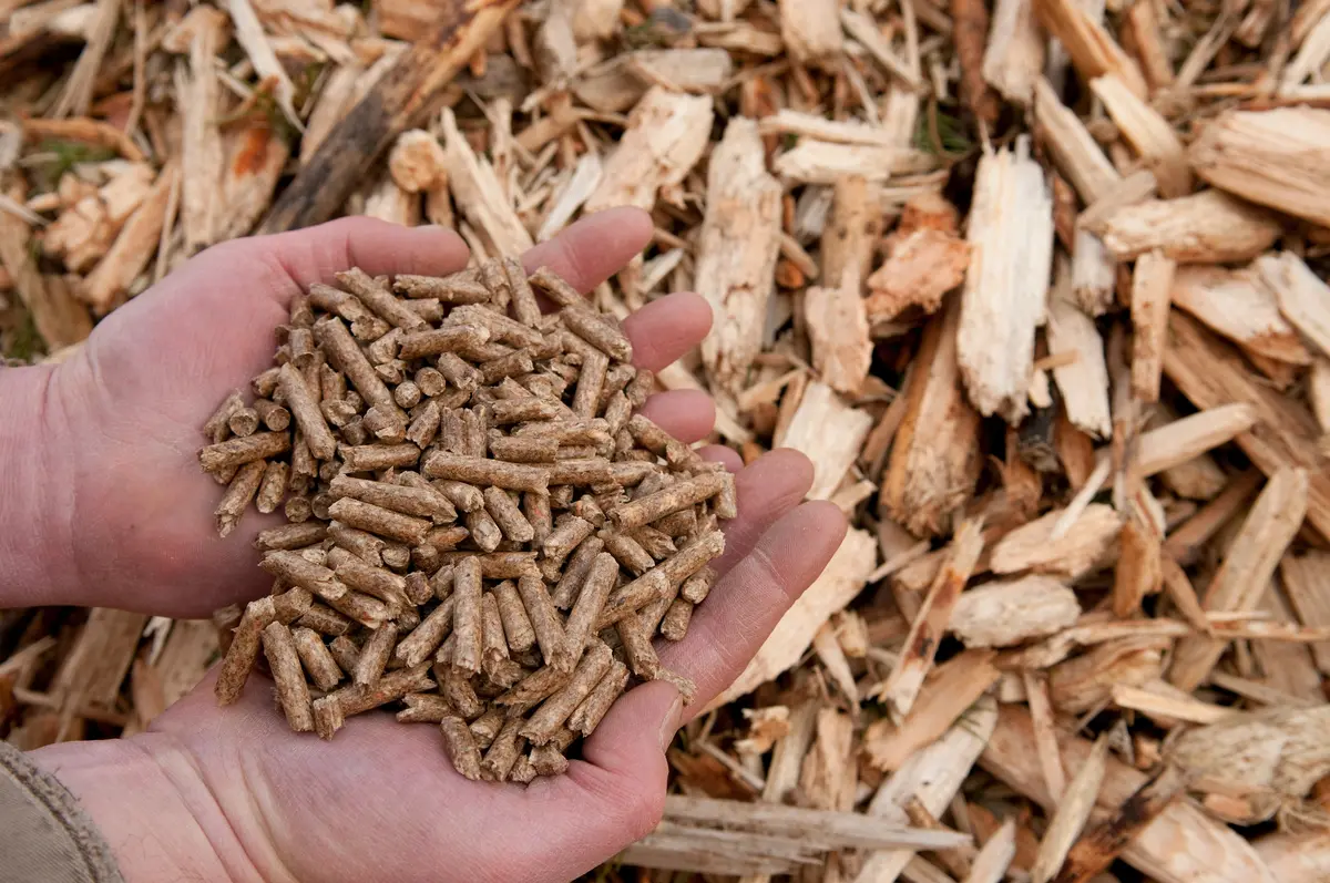 Las Pellets de Madera: Una Energía Renovable y Eficiente - Por qué utilizar pellets de madera wood pellets - Por qué utilizar pellets de madera