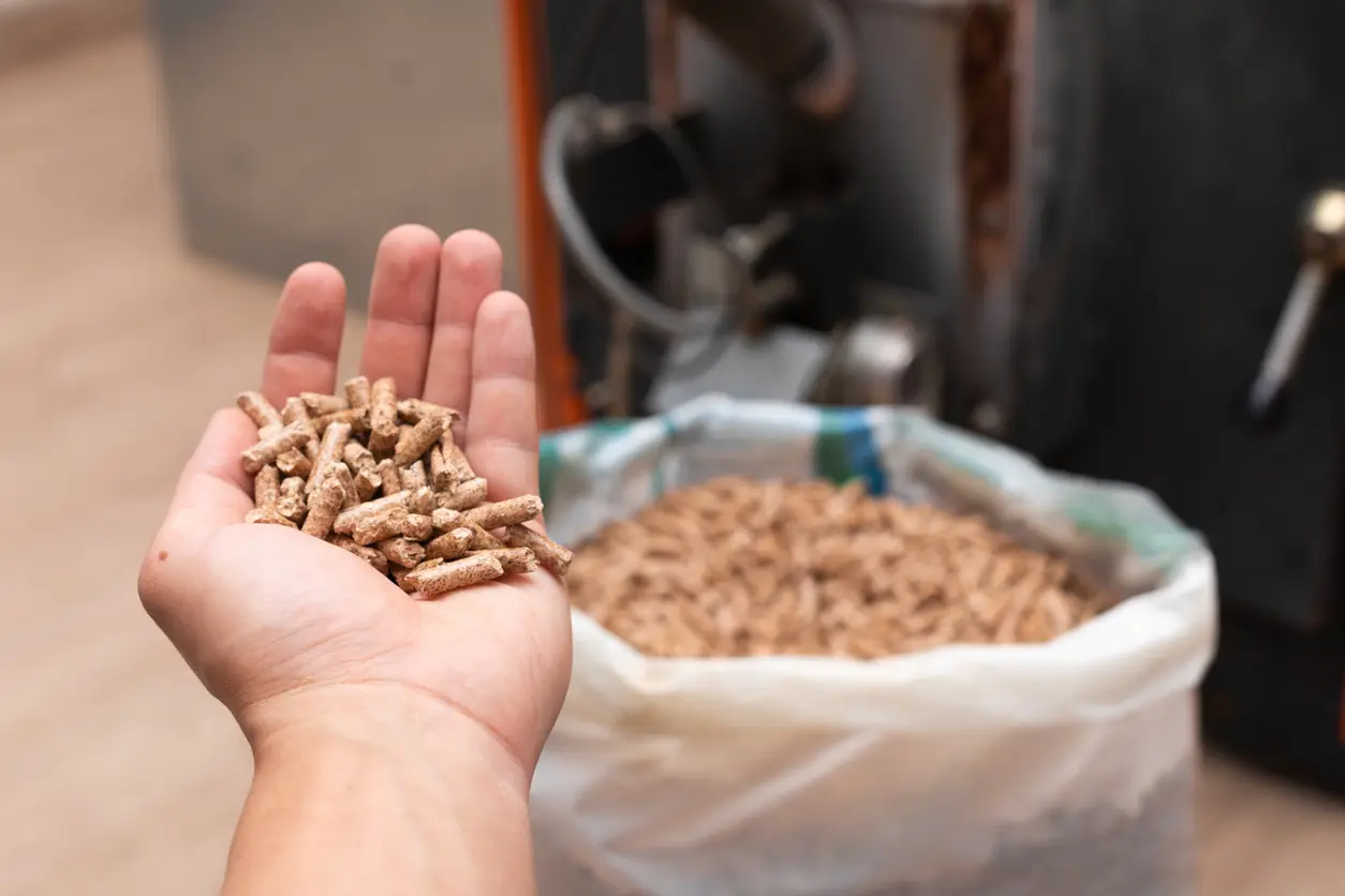 hacer pellets con restos de poda - Puedes hacer tus propios pellets para fumar