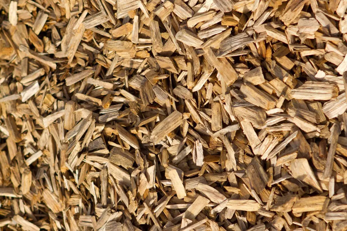 aprovechamiento de la madera en la biomasa - Qué aprovechamiento tiene la madera