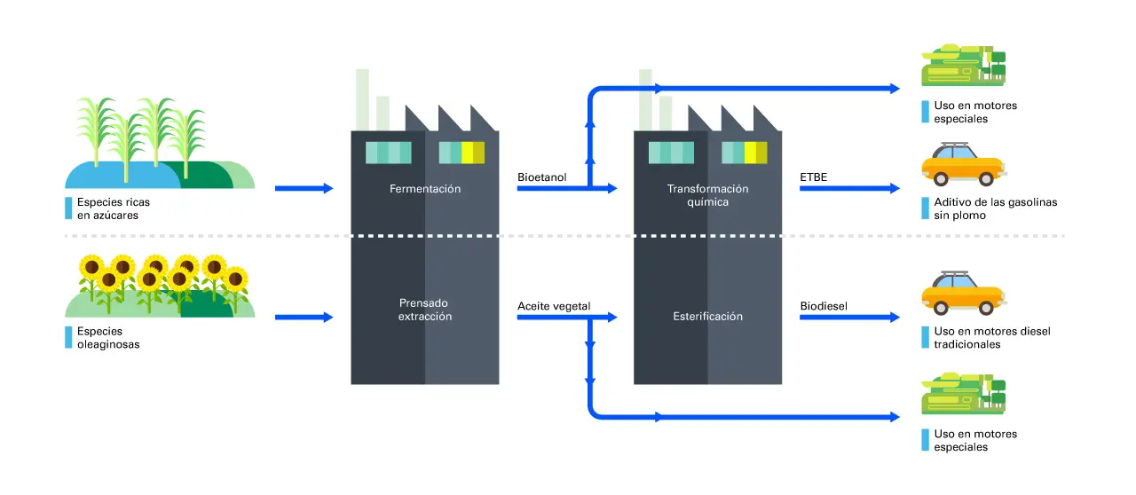 Centrales Eléctricas: Combustibles Fósiles vs. Biomasa - Qué combustible se utiliza en las centrales electricas central electricas con fosiles o con biomasa - Qué combustible se utiliza en las centrales electricas