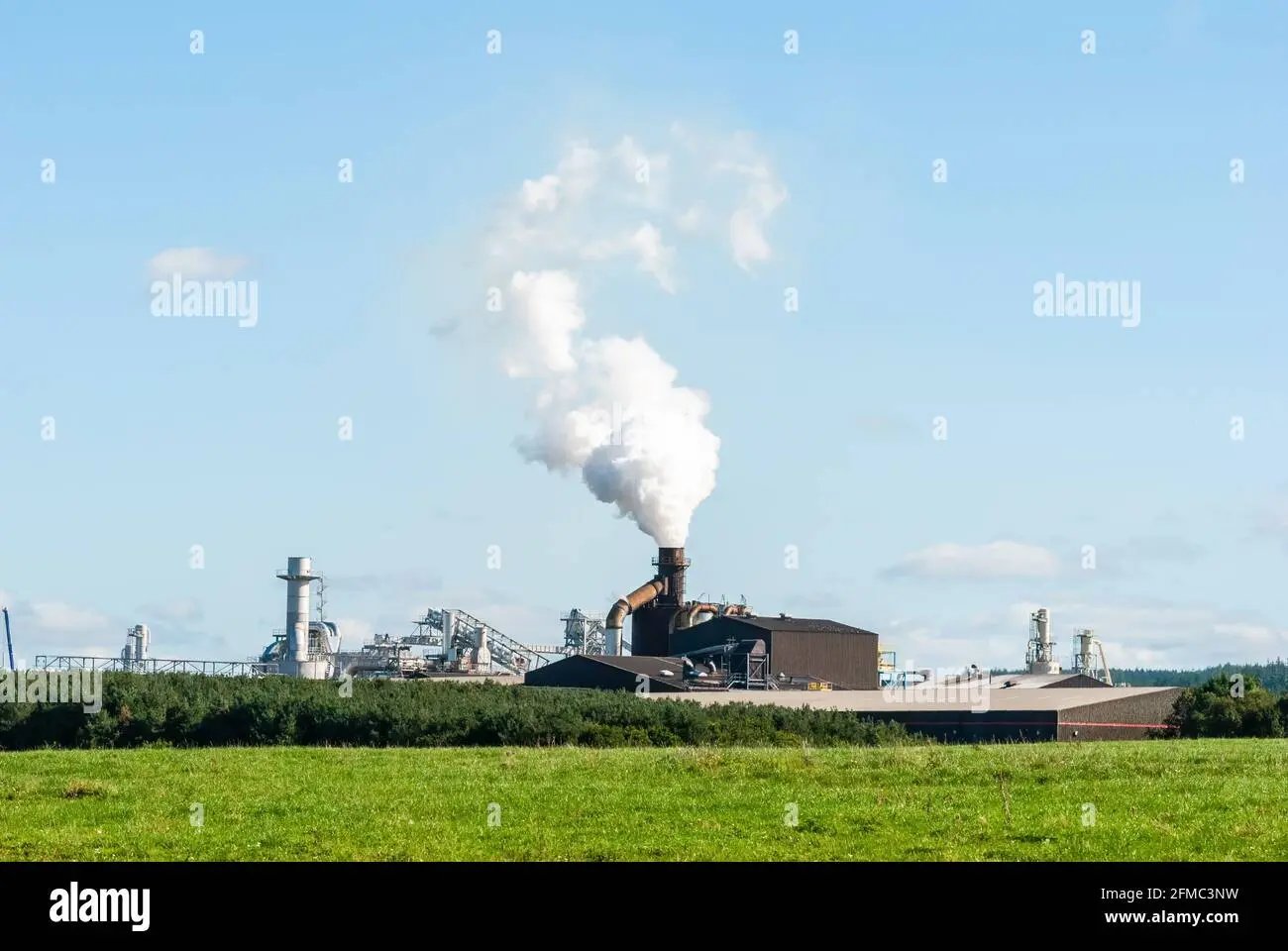 biomasa humo blanco - Qué combustión produce humo blanco