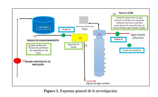 carga de biomasa en tratamiento aerobio de aguas - Qué diferencia existe entre proceso aerobio y anaerobio