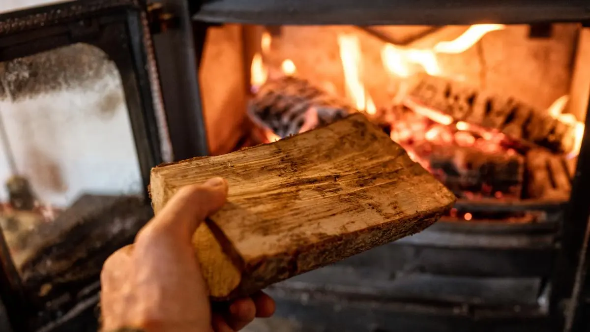 se puede echar carbón vegetal a una estufa de leña - Qué diferencia hay entre carbón y carbón vegetal