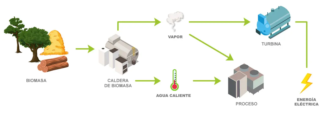 empresa electrica energia renovable biomasa - Qué empresas utilizan energías renovables