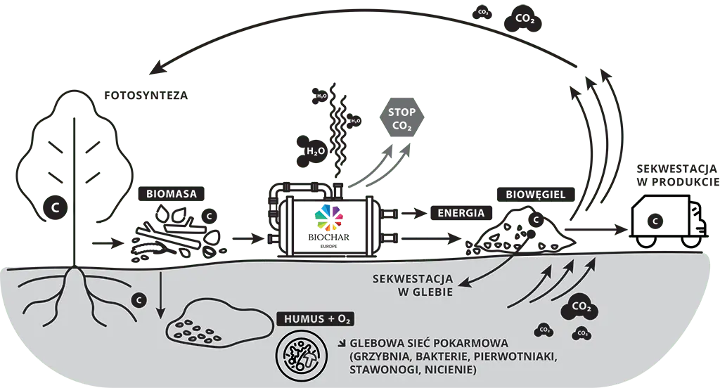 char biomasa - Qué es el char carbón