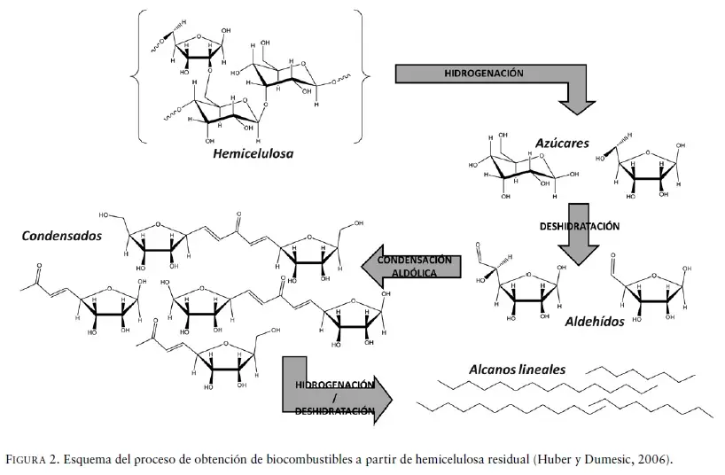 hidrólisis biomasa resultados - Qué es el grado de hidrólisis