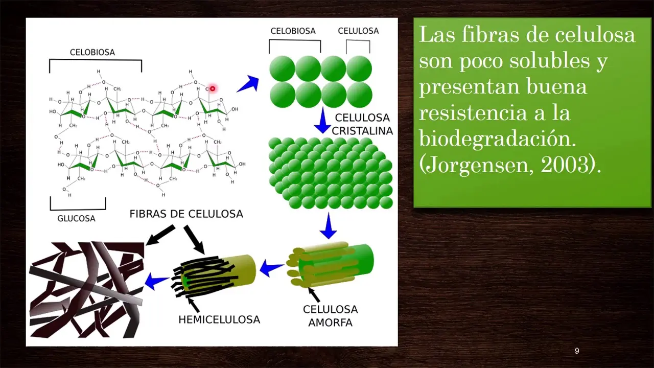 degradacion biomasa celulosica - Qué es el metodo Organosolv