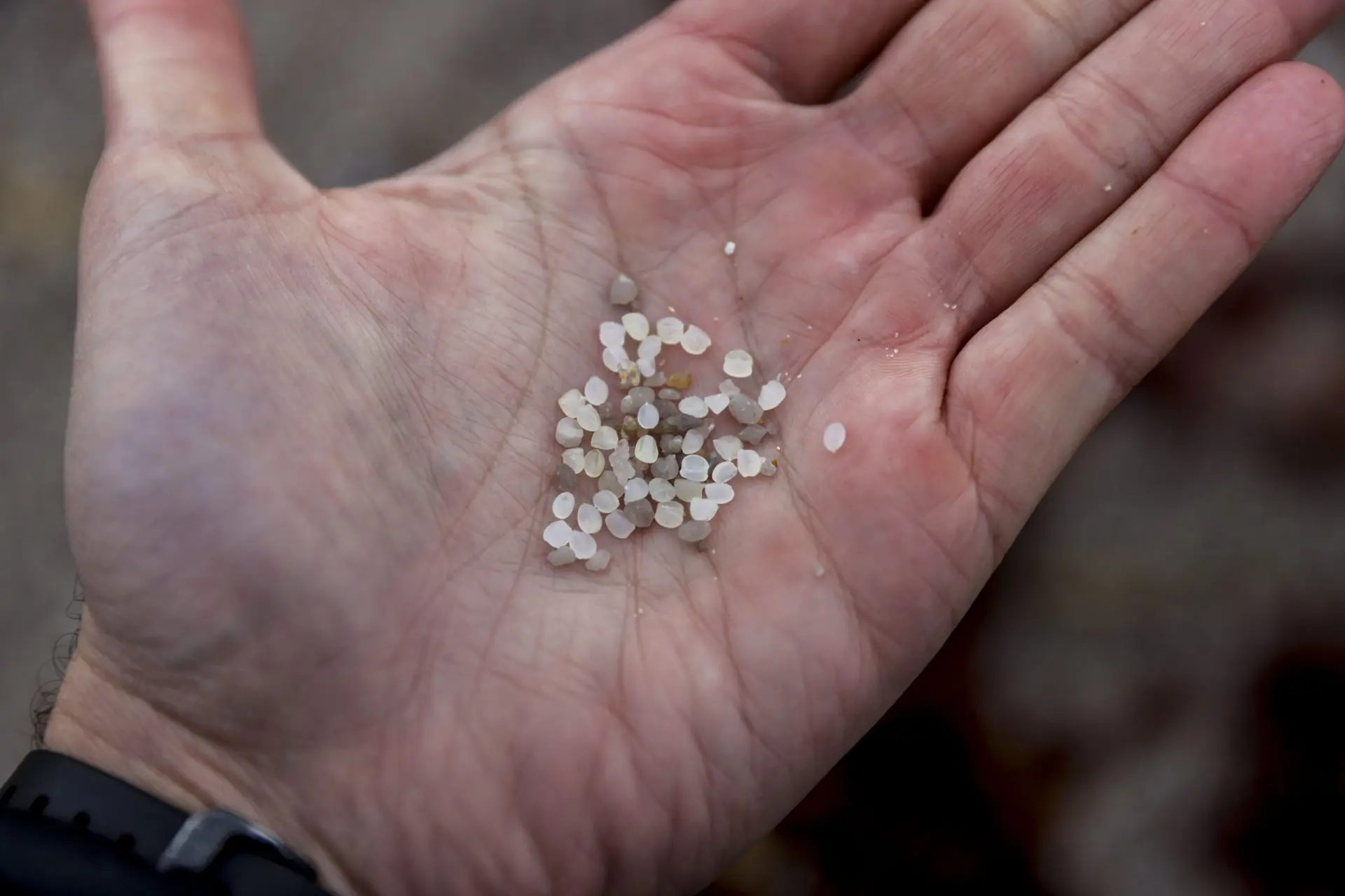 El maravilloso entorno de los pellets - Qué es el pellet en biologia pellets rae - Qué es el pellet en biologia