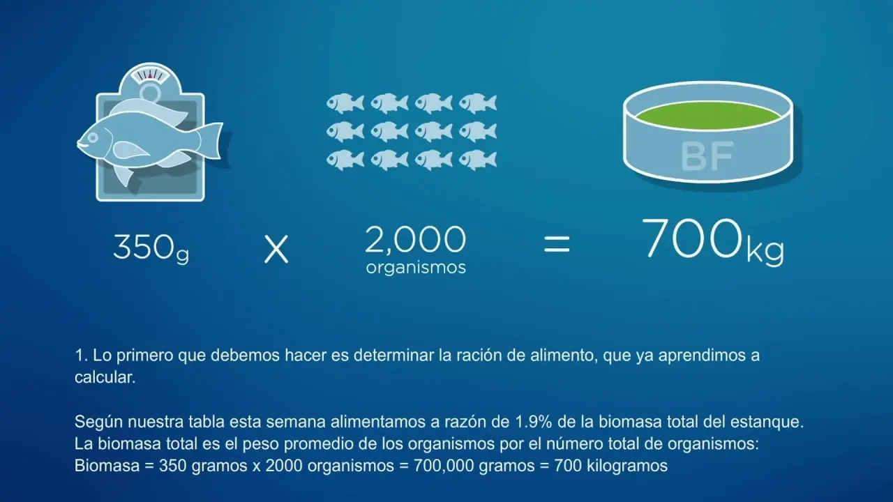 pesos y biomasas de peces - Qué es el SFR y cómo se calcula