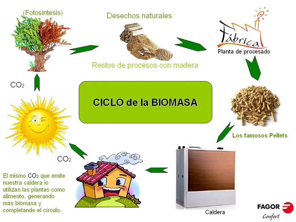 iae plana de biomasa - Qué es IAE autonomo