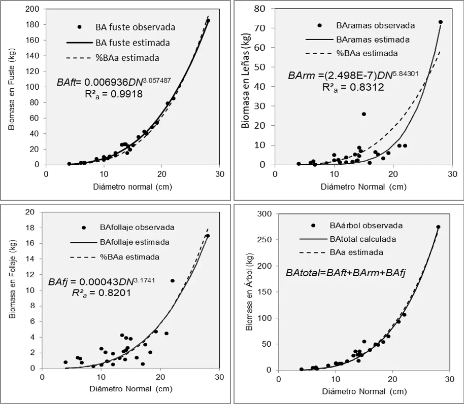 crecimiento exponencial biomasa ecuaciones - Qué es KS en Monod