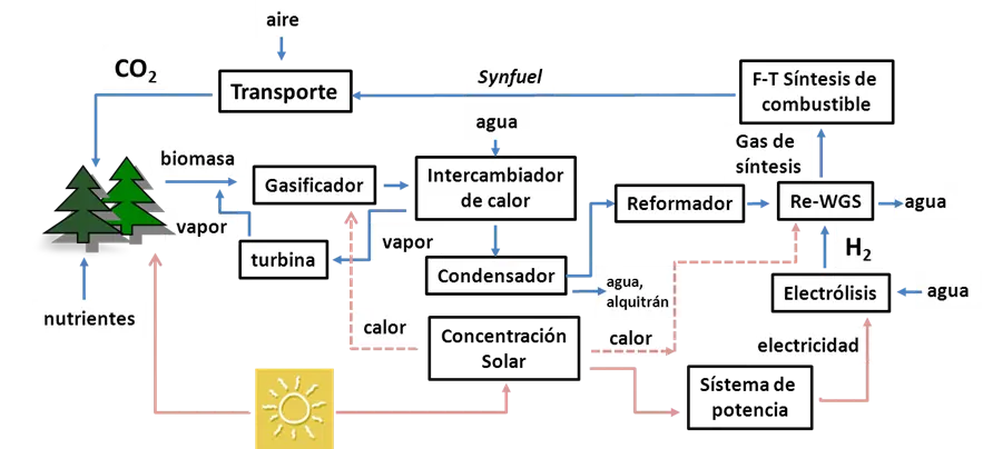 rendimiento de la biomasa aguas - Qué es la biomasa del agua