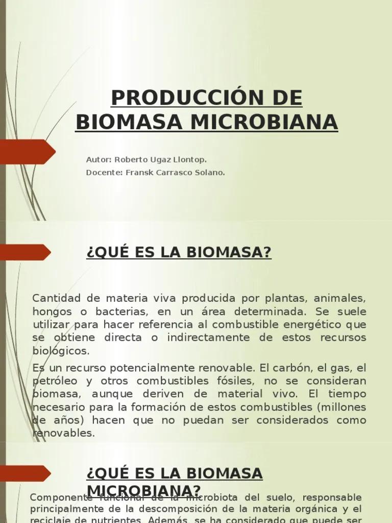 biomasa microbiologia - Qué es la biomasa en Bioprocesos