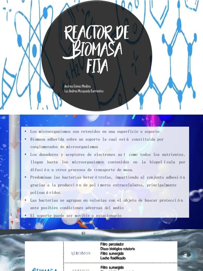 biomasa fija - Qué es la biomasa fija