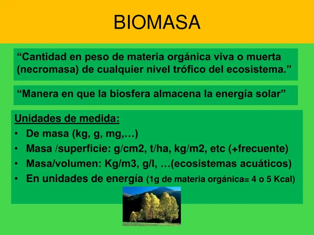 biomasa unidades - Qué es la concentración de biomasa