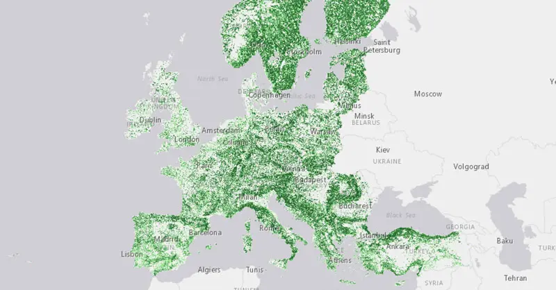 densidad biomasa forestal - Qué es la densidad forestal