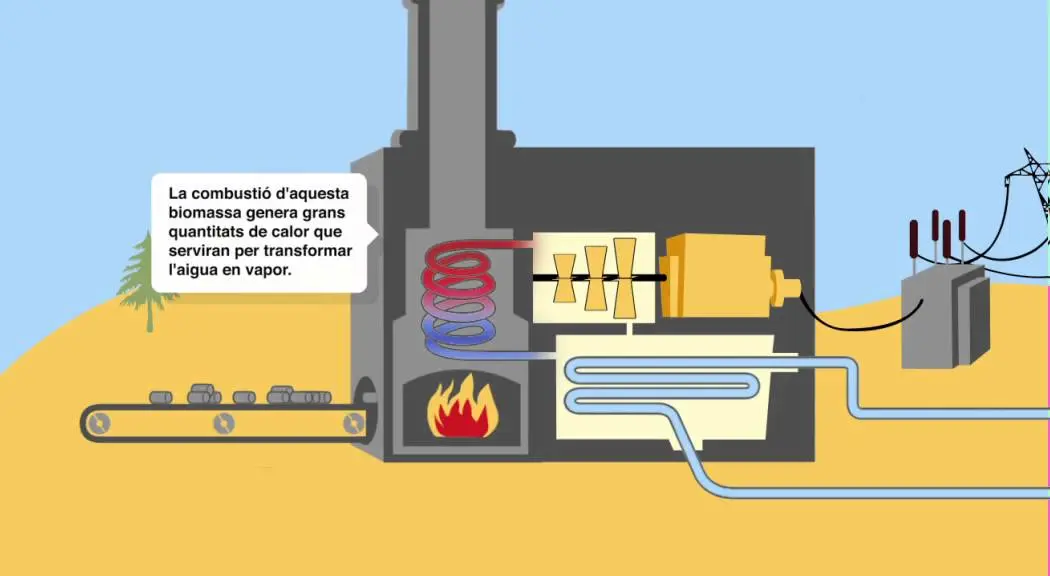 central termica biomasa inglis for children - Qué es la energía de biomasa para los niños