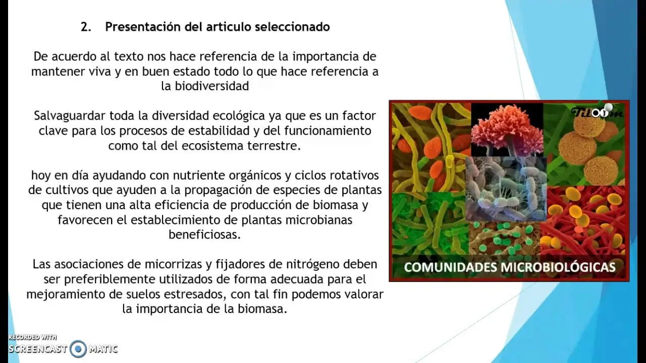 fotos biomasa microbiana - Qué es la Necromasa microbiana