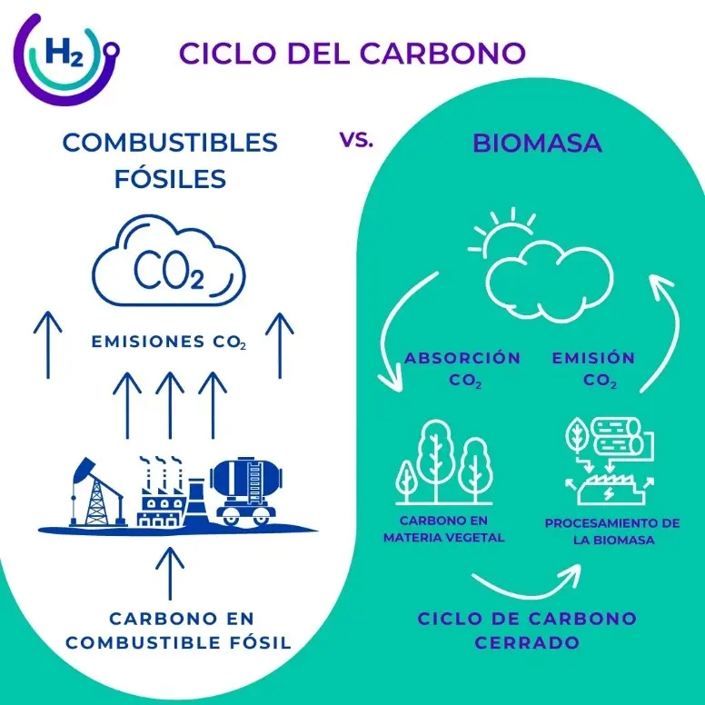 los combustibles de biomasa generan dioxido de carbono - Qué es lo que más emite dióxido de carbono