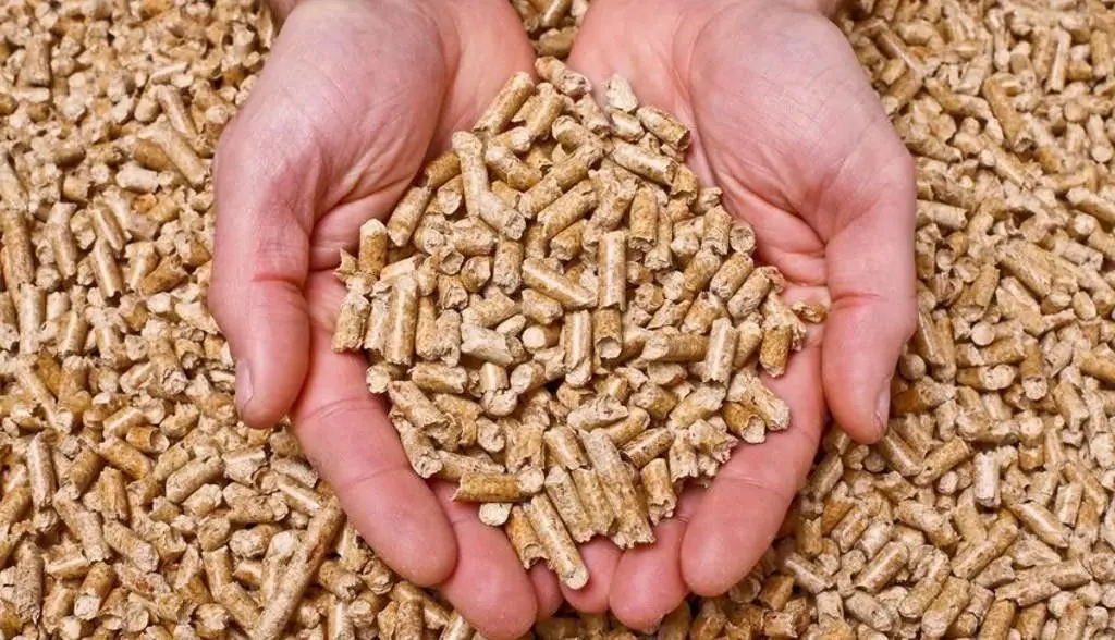 El maravilloso entorno de los pellets - Qué es pellets comida pellets rae - Qué es pellets comida