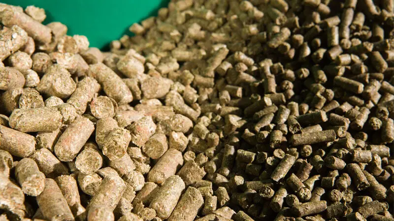 animal pellets - Qué es pellets para hámster