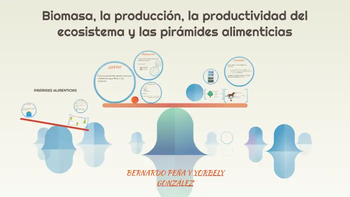 biomasa y productividad - Qué es productividad y biomasa primaria