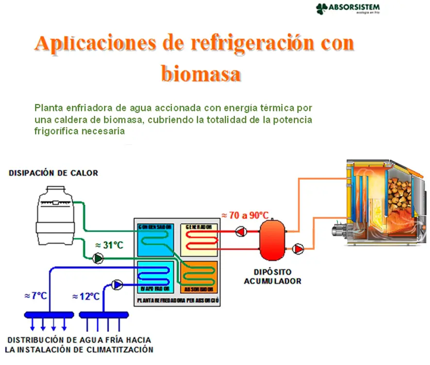 biomasa de clima frio - Qué es un bioma de clima frío