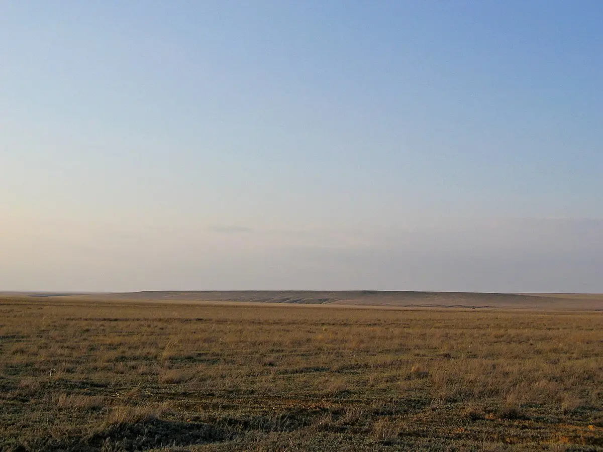 biomasa pradera i estepa - Qué es un bioma de estepa