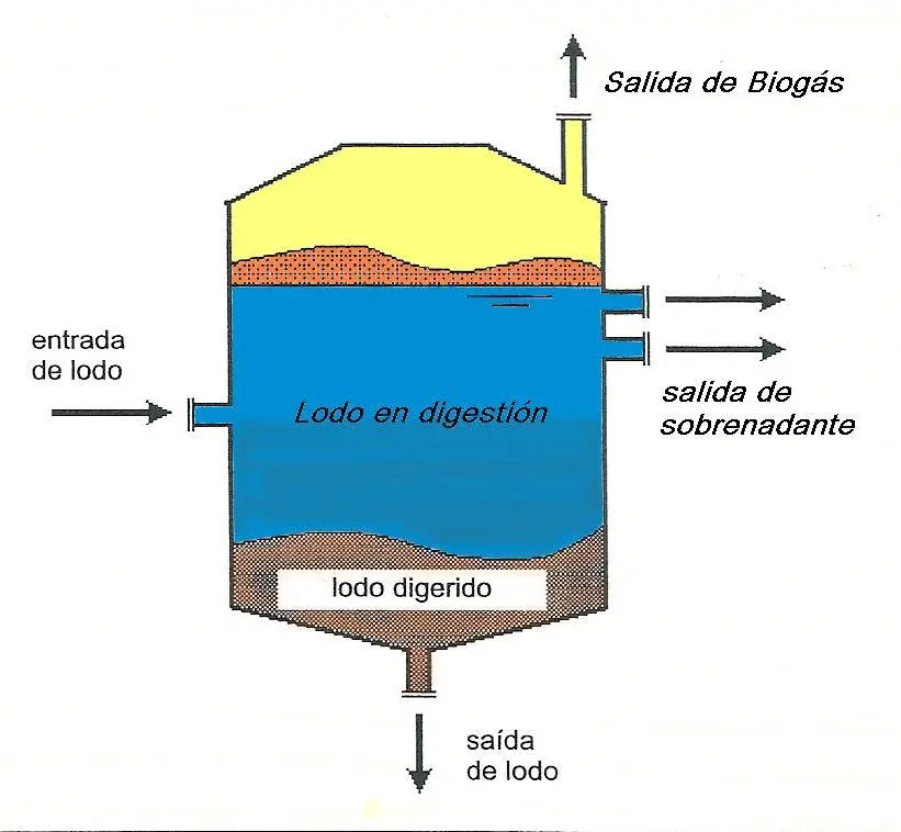 biomasa reactor anaerobio - Qué es un biorreactor anaerobio