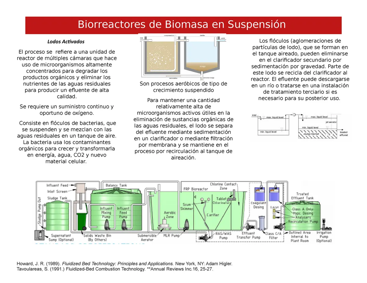 tratamiento biomasa suspension proceso - Qué es un proceso anóxico