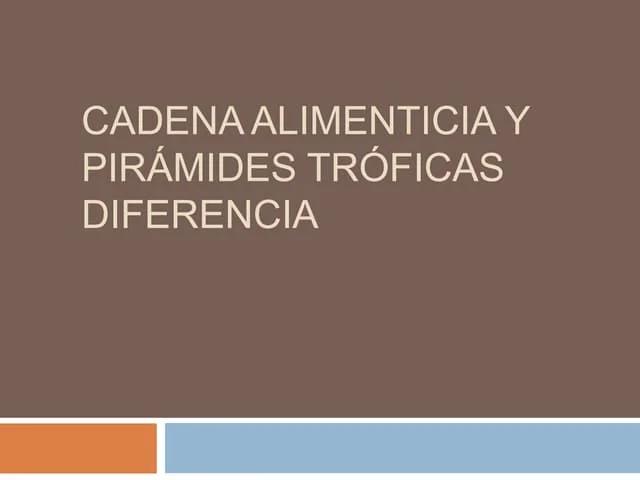 piramide de biomasa y energia - Qué es una cadena alimenticia y cómo se relaciona con la pirámide de biomasa