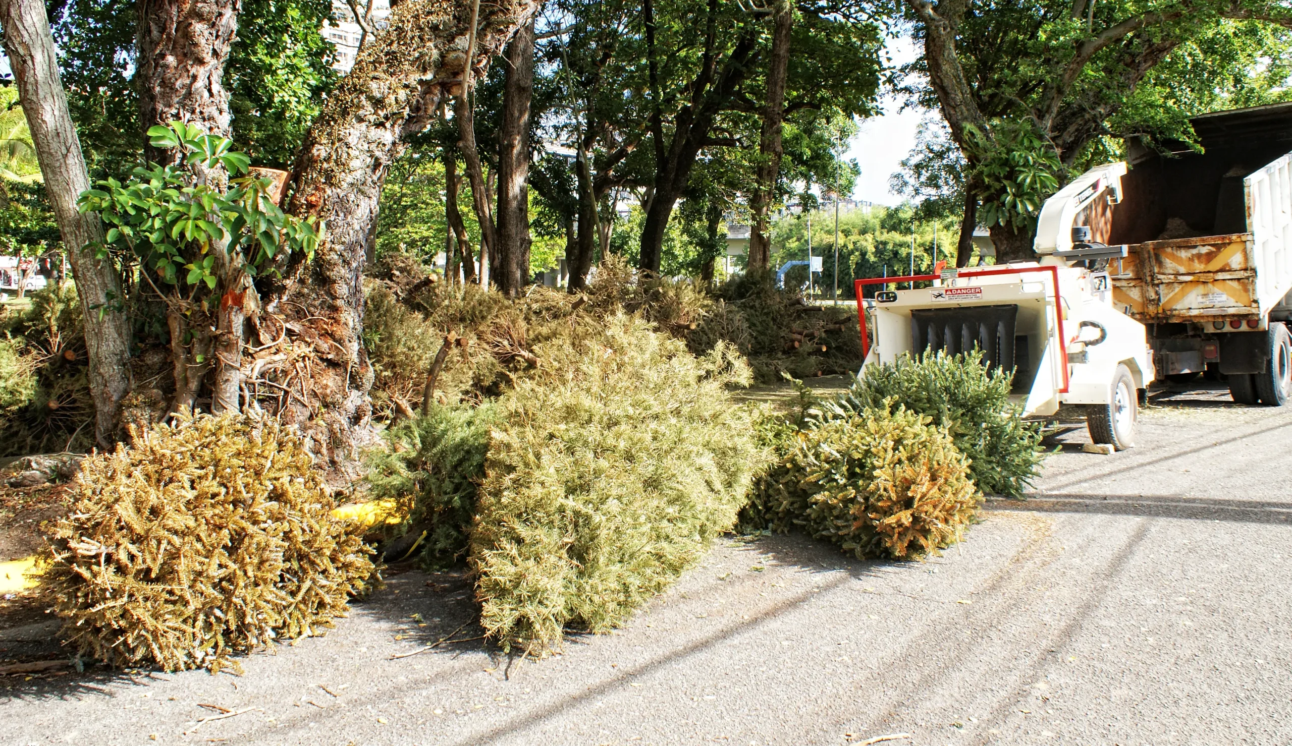 estufa virutas madera - Qué es y para qué sirve la viruta