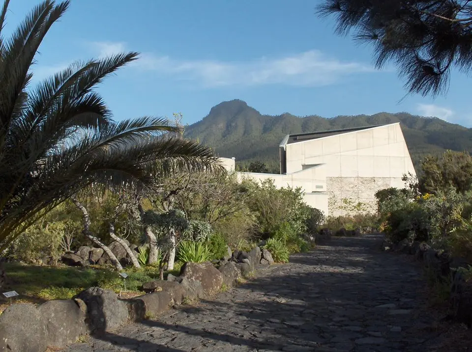 centro de visitantes de la caldera de taburiente - Qué especies endémicas se pueden encontrar en el Parque Nacional de la Caldera de Taburiente