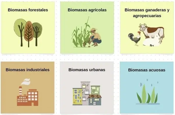 impacto ambiental de biomasa factores que crean fenómenos como - Qué factores originan el impacto ambiental