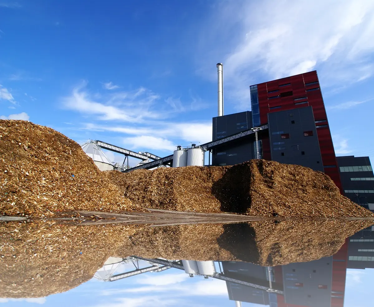 Biomasa en Logroño: Un Futuro Verde y Sostenible - Qué futuro tiene la biomasa biomasa logrosan - Qué futuro tiene la biomasa