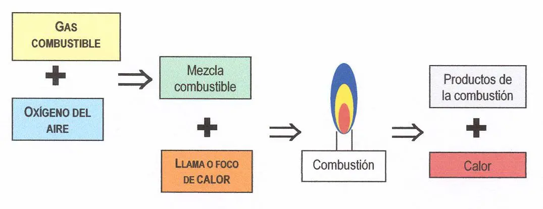 gases producidos en la combustión de biomasa - Qué gases intervienen en la combustión