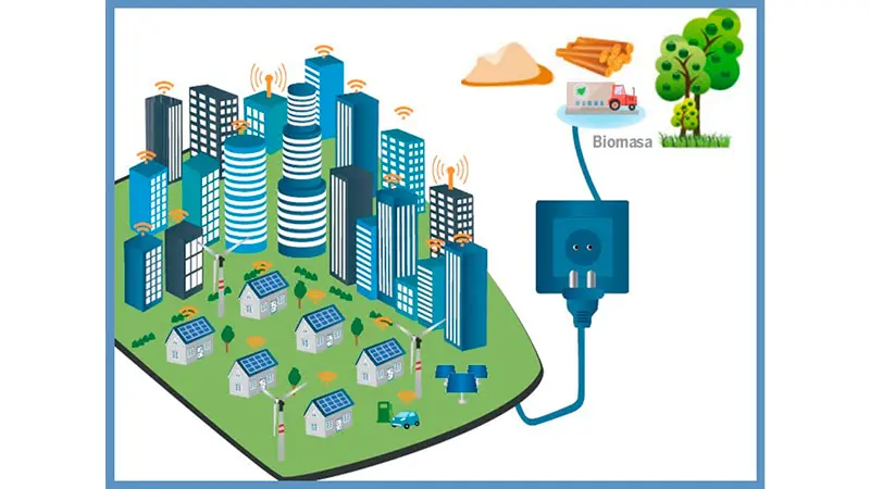 biomasa empresas de servicios energéticos - Qué hace una empresa de servicios energeticos