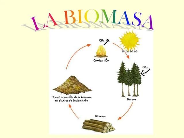 leyes controlan sector biomasa - Qué ley fomenta la utilización de gases renovables