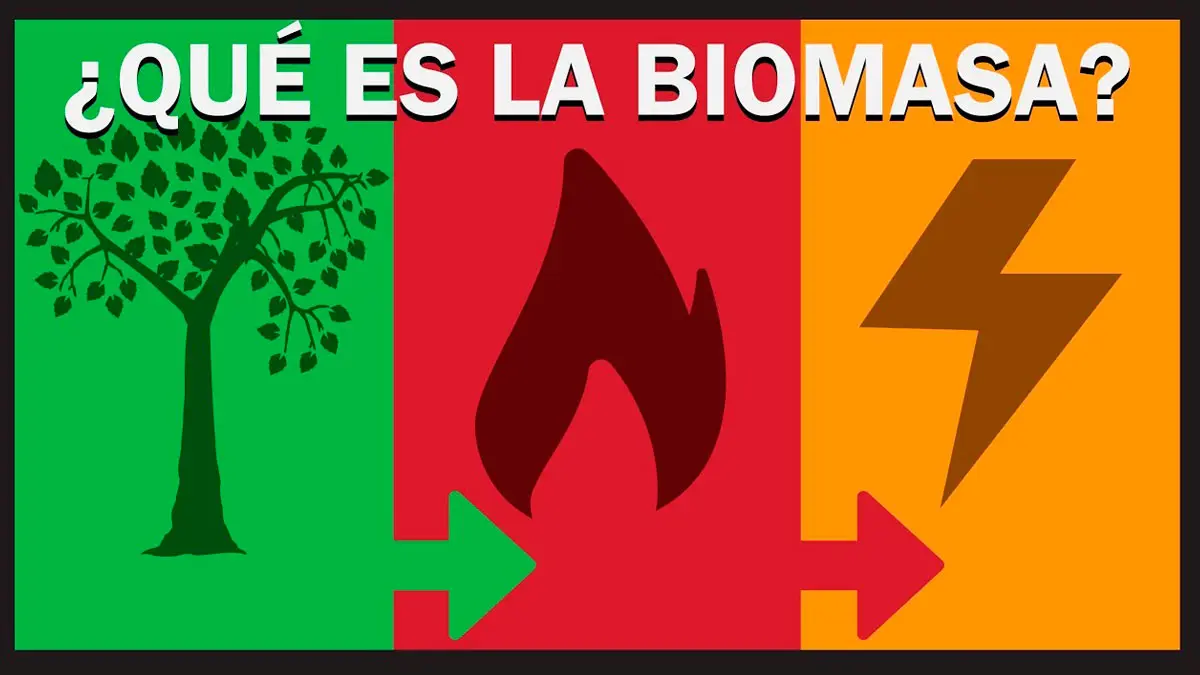 a que elemento nos podemos referir a biomasa - Qué materiales componen la biomasa