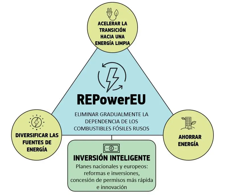 normativa union europea central de biomasa - Qué norma de la Unión Europea es obligatoria en todos sus elementos y directamente aplicable en cada Estado miembro