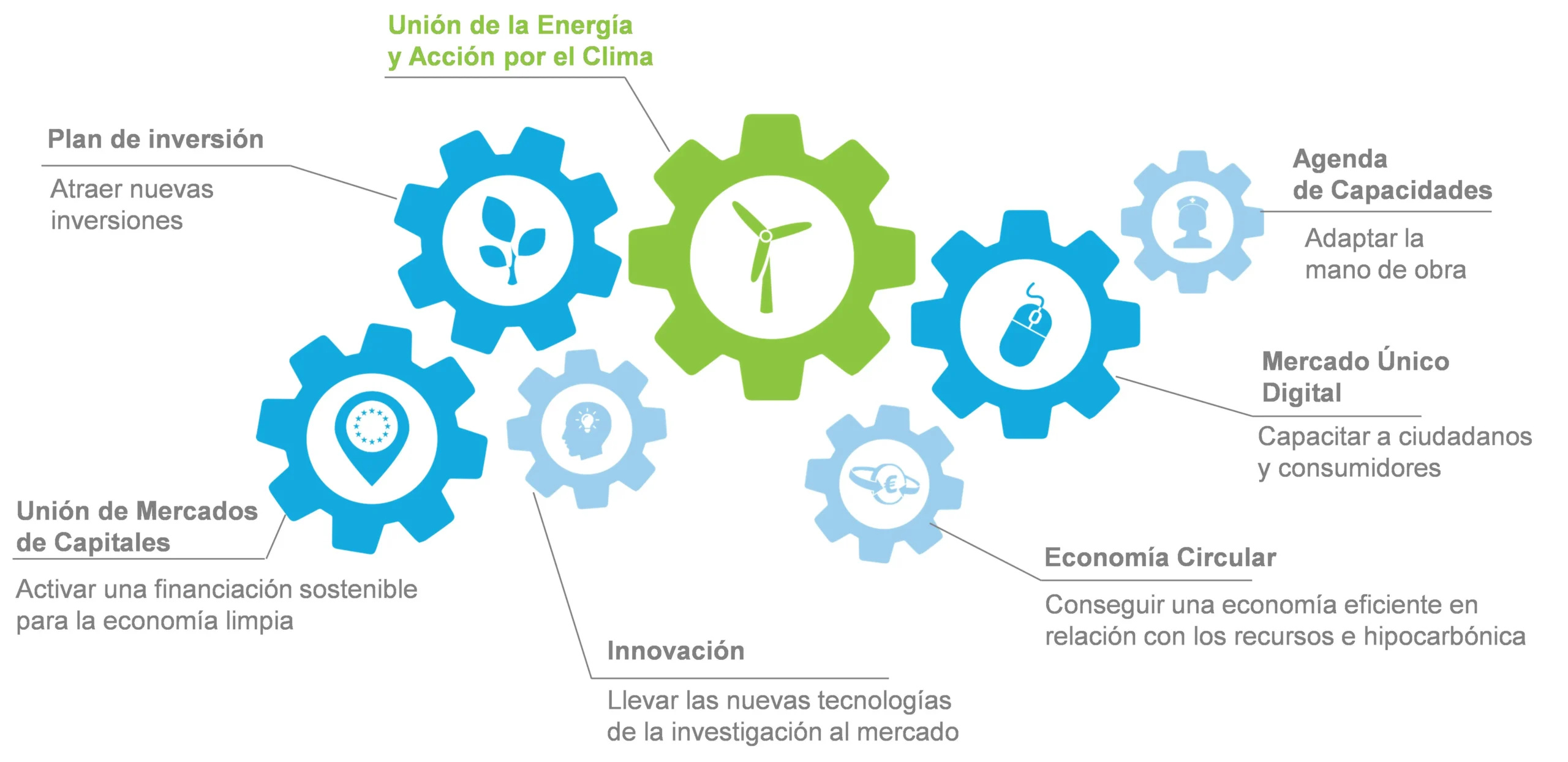 normativa union europea central de biomasa - Qué norma es de aplicación directa en cualquier estado de la Unión Europea