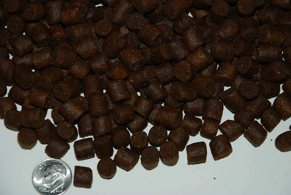 Krill Pellets: Un Superalimento Marino para tu Salud - Qué nutrientes tiene el krill krill pellets - Qué nutrientes tiene el krill