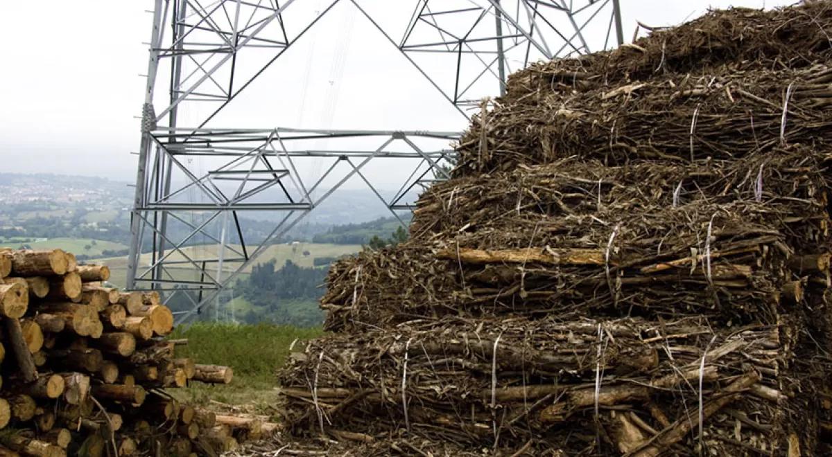 biomasa en europa - Qué países producen más biomasa