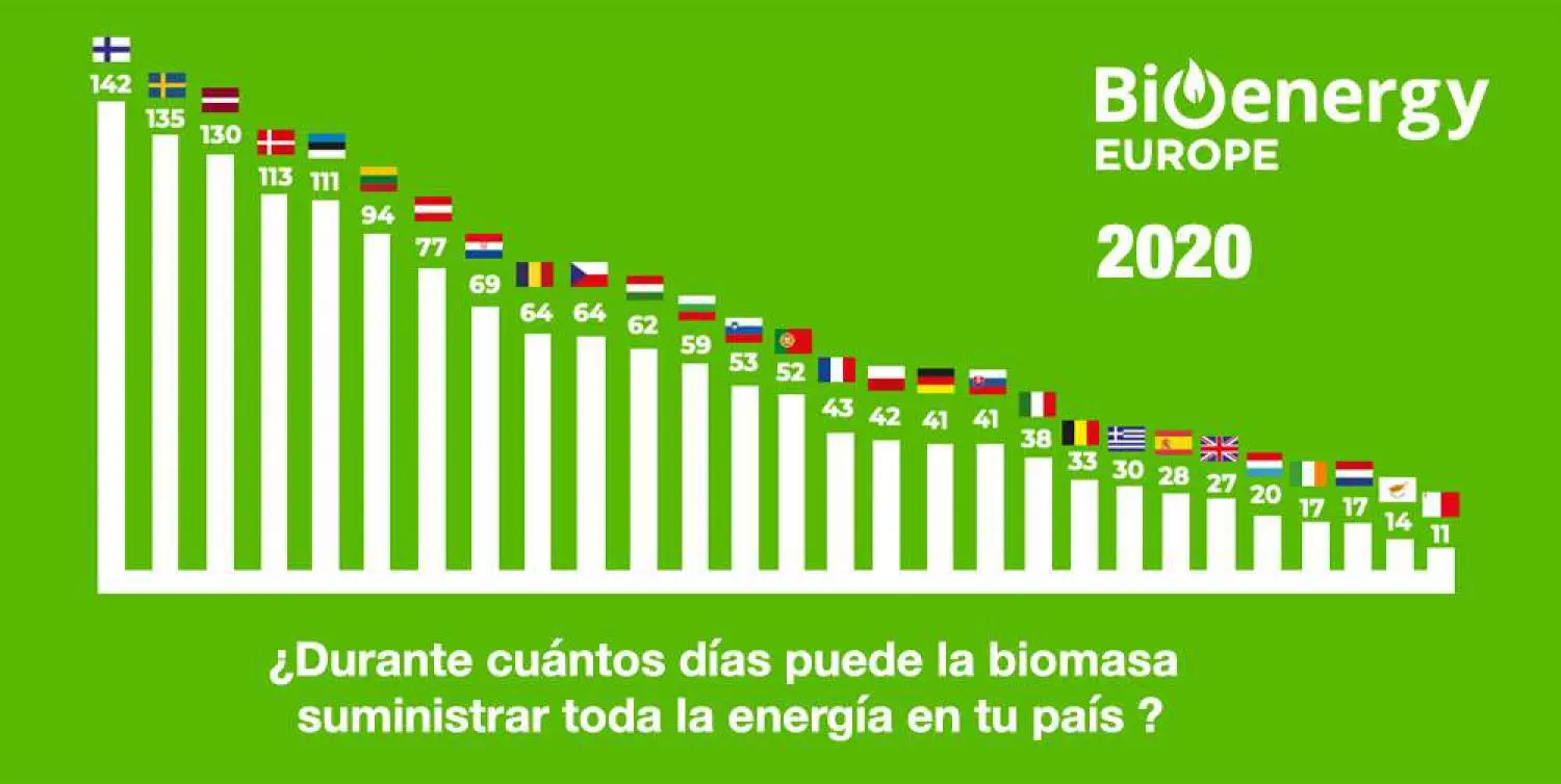 biomasa segun la union europea - Qué países producen más biomasa