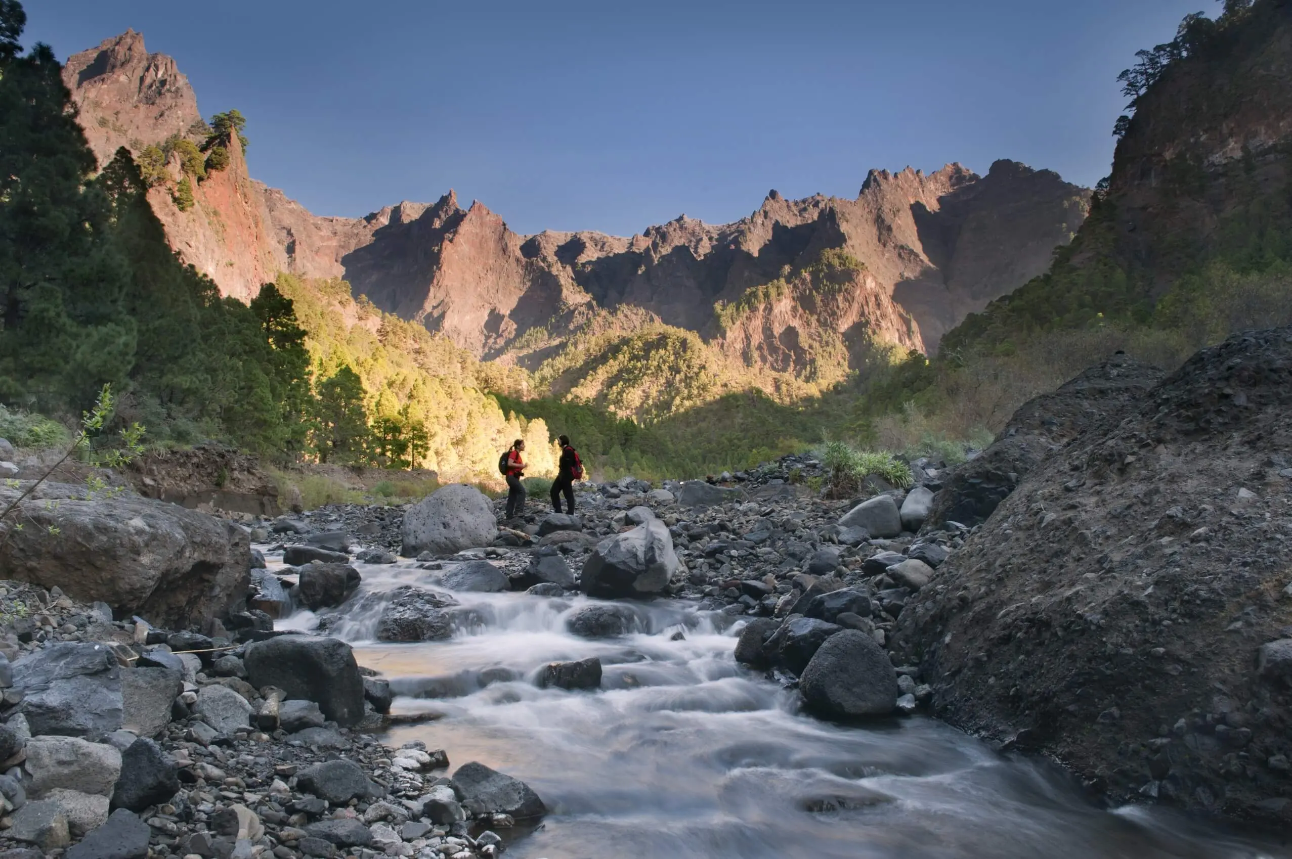 caldera de taburiente rutas - Qué plantas hay en la Caldera de Taburiente