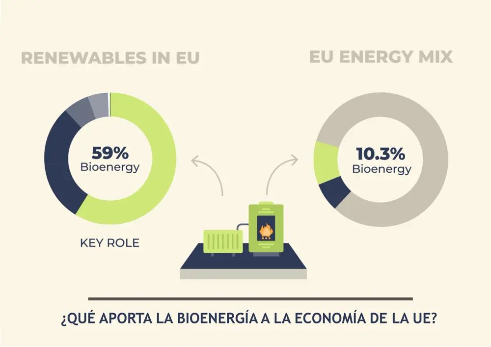 biomasa segun la union europea - Qué porcentaje de energía proviene de fuentes renovables en la Unión Europea