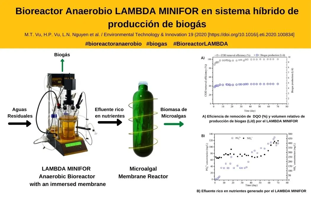 biomasa reactor anaerobio - Qué productos se obtienen en el proceso anaerobio