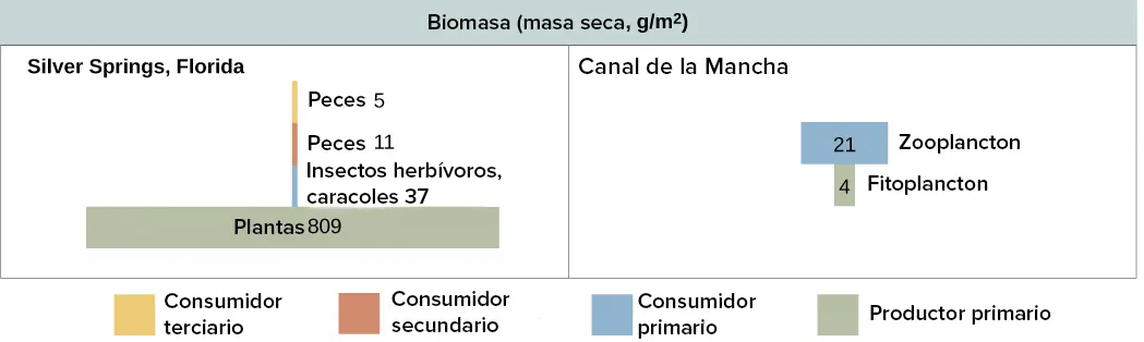 producción primaria y biomasa en sistemas terrestres y acuáticos - Qué se considera producción primaria