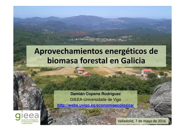 consultoría medio ambiental biomasa galicia - Qué se hace en consultoría ambiental