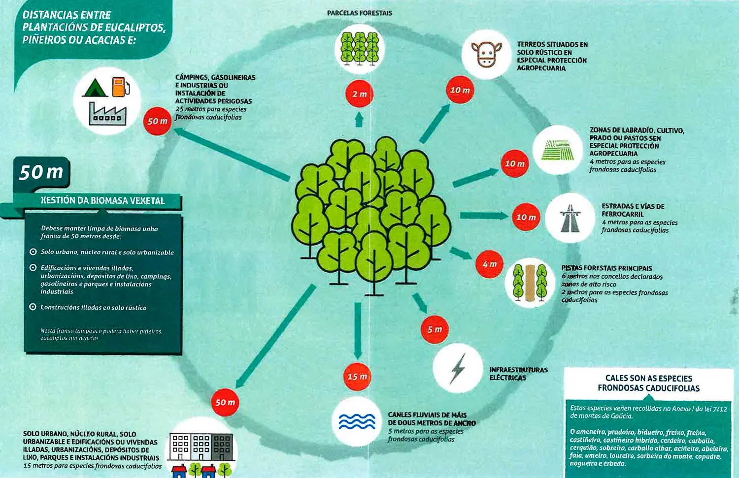 gestión de biomasa forestal en galicia - Qué se necesita para ser agente forestal en Galicia